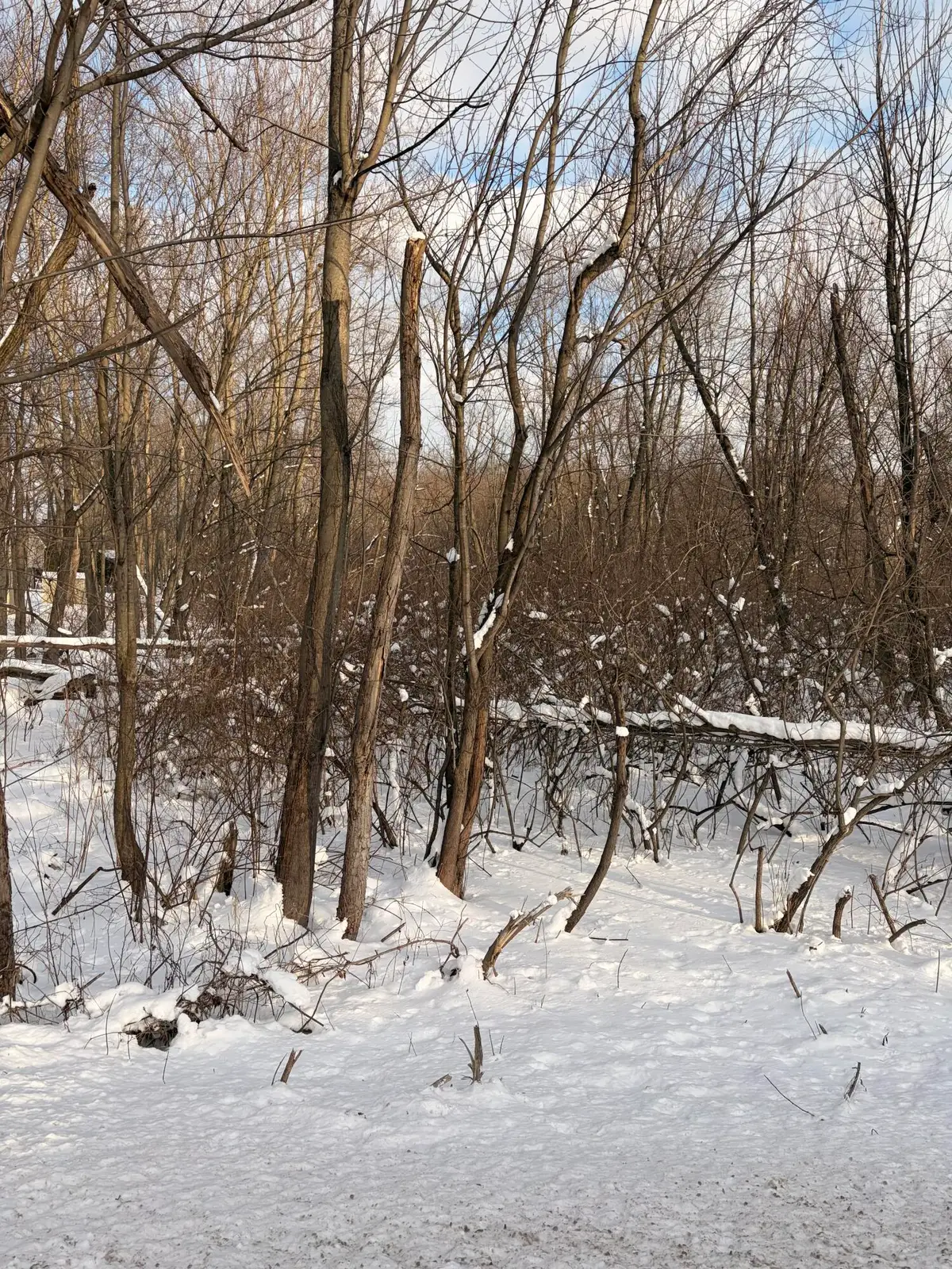 Tbd Union Avenue, Chesterton, IN 46304 - Image #1