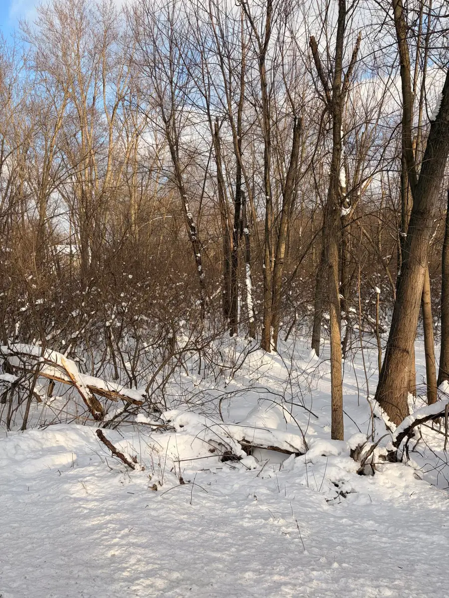 Tbd Union Avenue, Chesterton, IN 46304 - Image #2