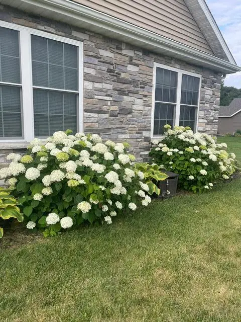 1781 Kelly Court, Wheatfield, IN 46392 - #3