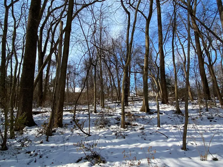 850 Avondale Street, Valparaiso, IN 46385 - Image #3