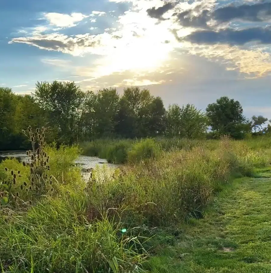 2045 E 110th Lane, Crown Point, IN 46307 - #2