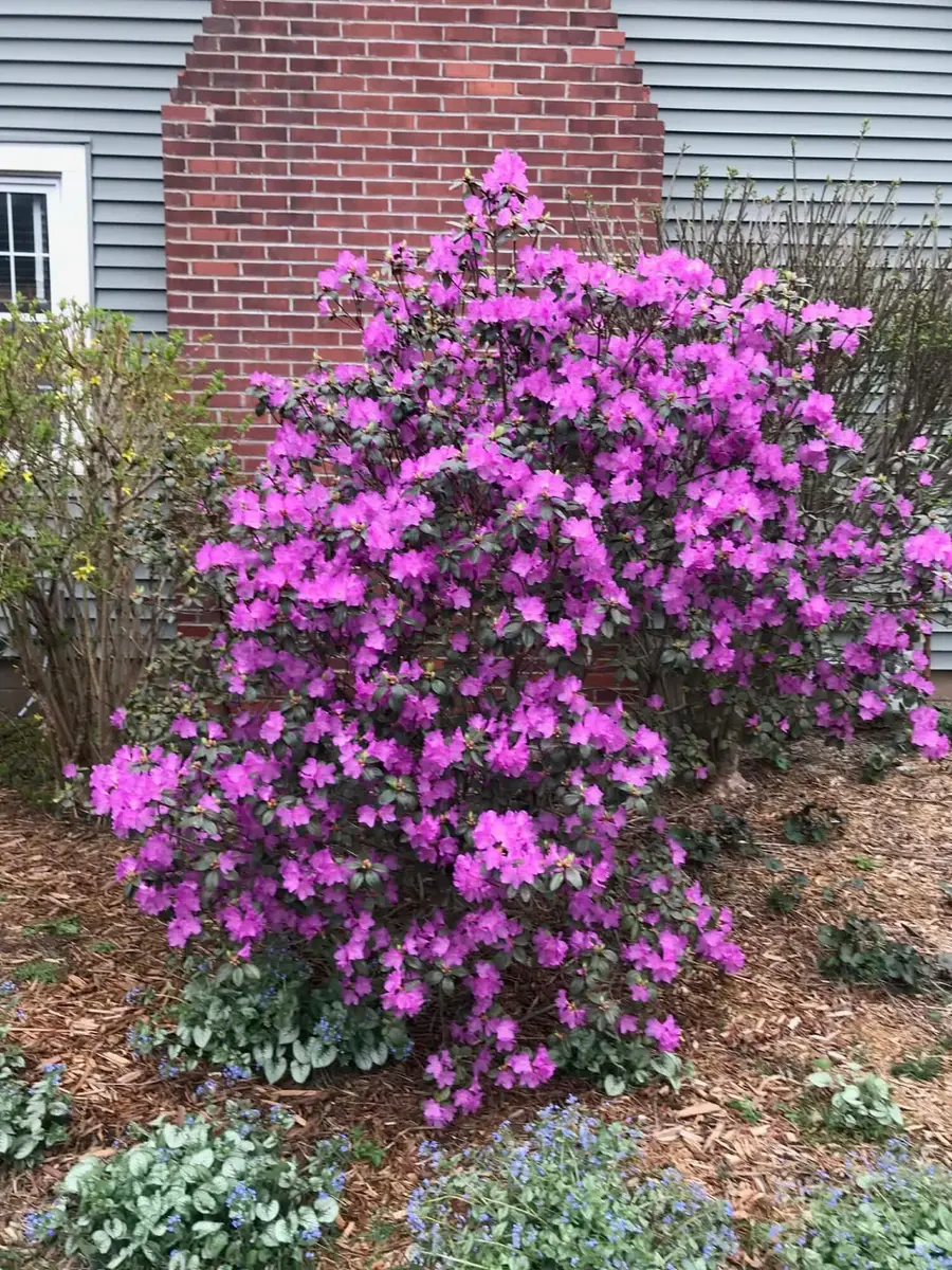 1612 Richards Street, La Porte, IN 46350 - #3