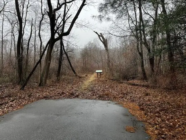 514 E Bellevue Avenue, Beverly Shores, IN 46301 - #3