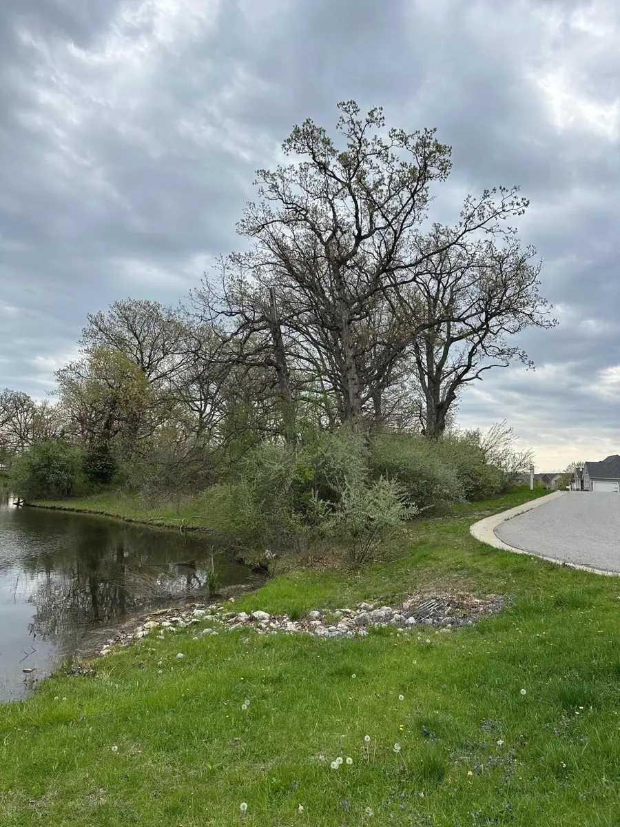 778 Ronny Court, Crown Point, IN 46307 - #2