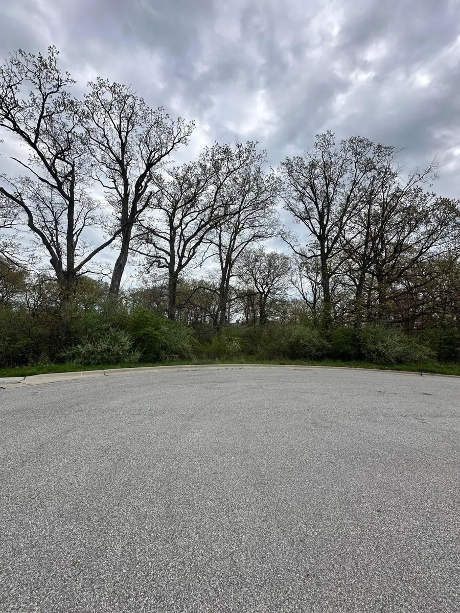 778 Ronny Court, Crown Point, IN 46307 - #3