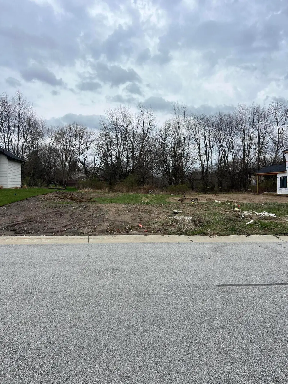 9131 Willow Lane, Saint John, IN 46373 - #1