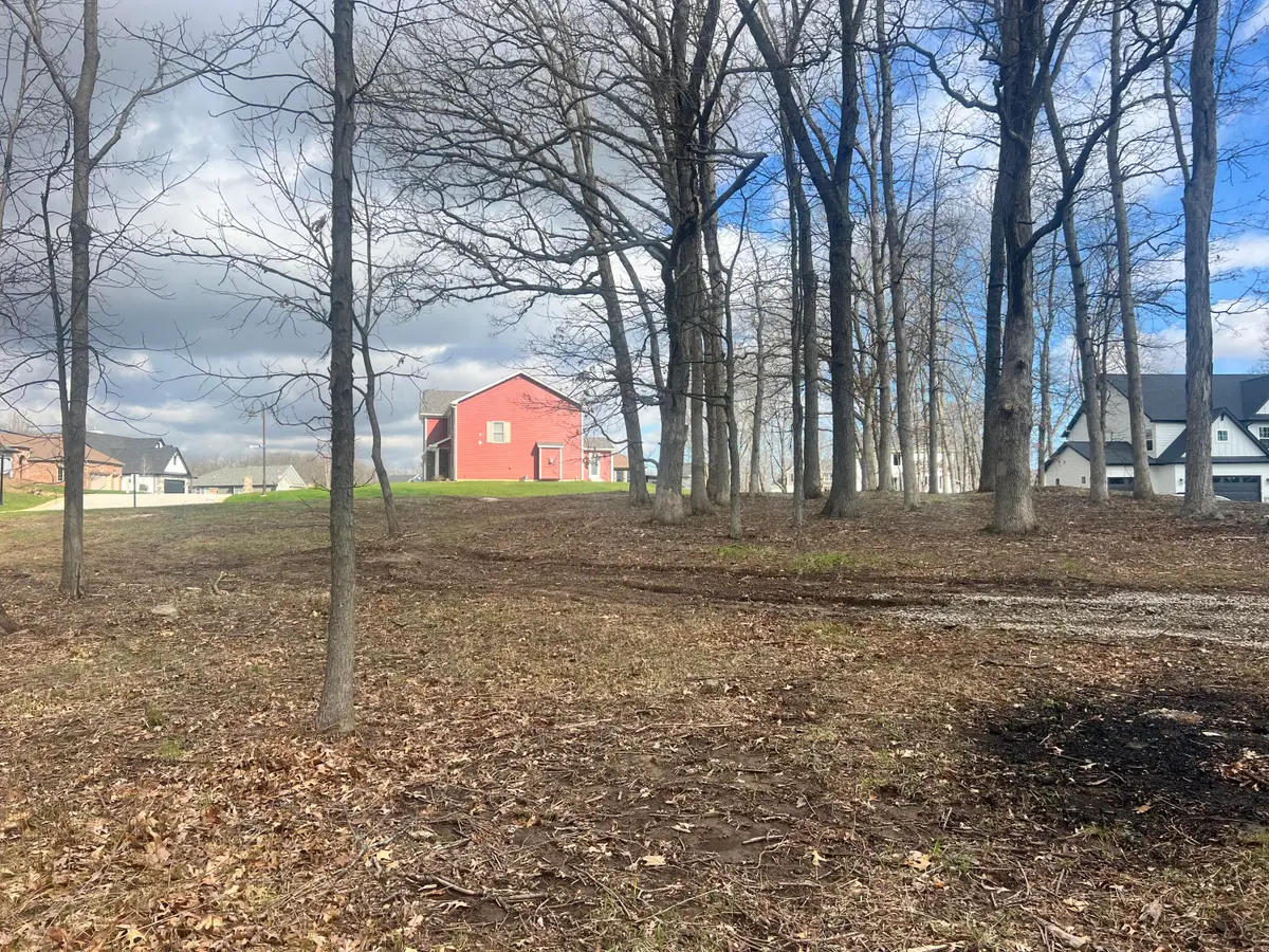 713 Druim Trail, Crown Point, IN 46307 - #1