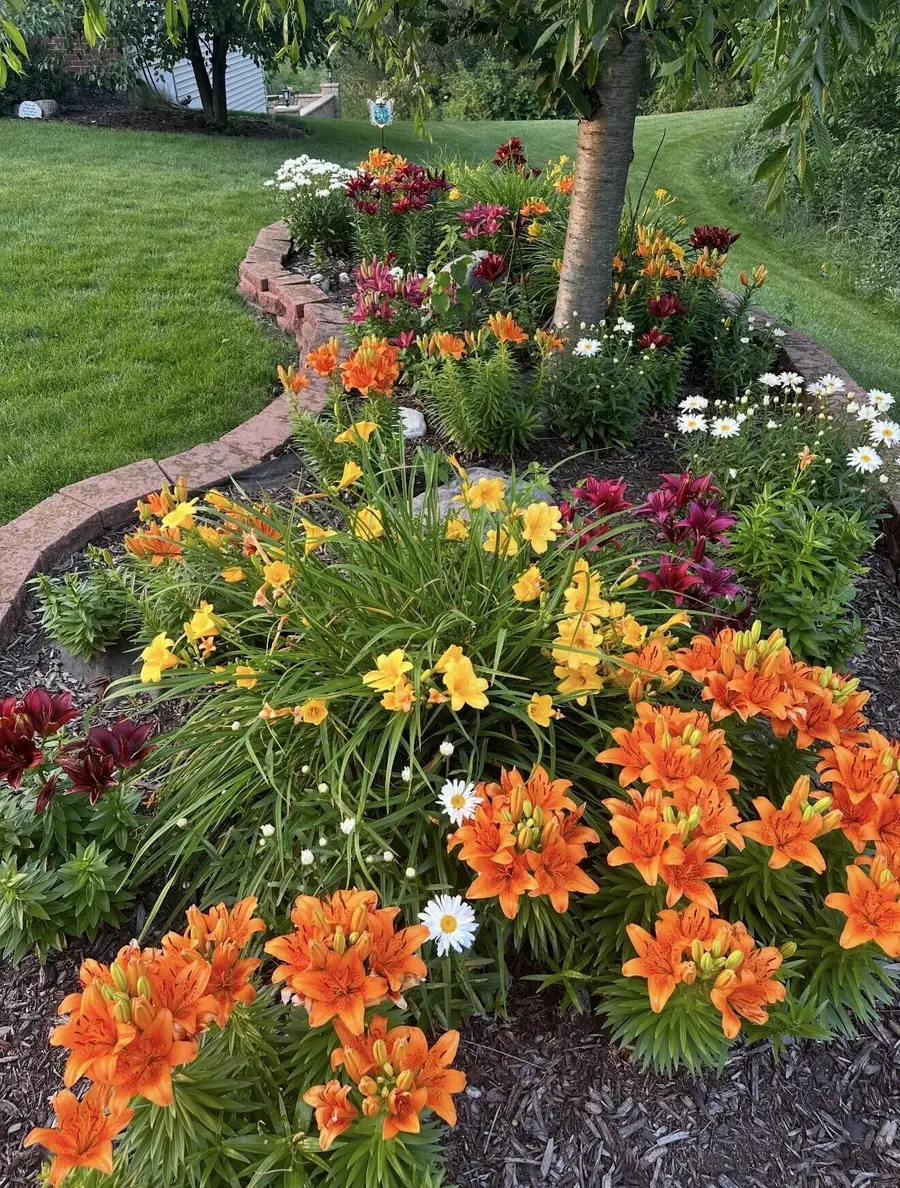 5360 72nd Avenue, Schererville, IN 46375 - #3