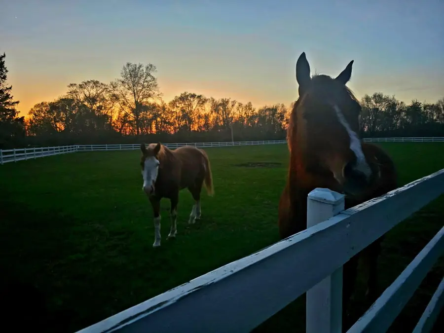 4440 S 650 W, North Judson, IN 46366 - #3