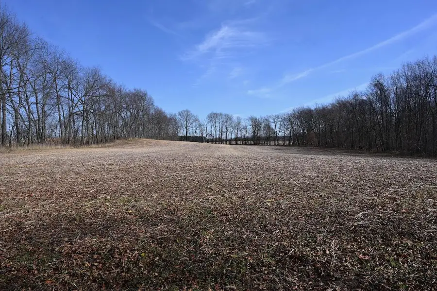 55824 County Line Road, New Carlisle, IN 46552 - #2