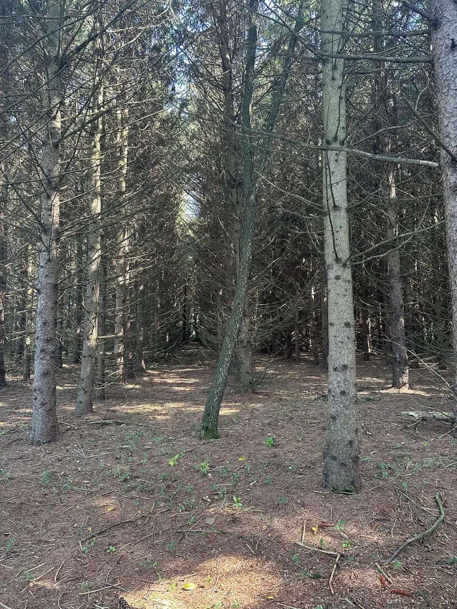 3148 N 450 W, Winamac, IN 46996 - #3