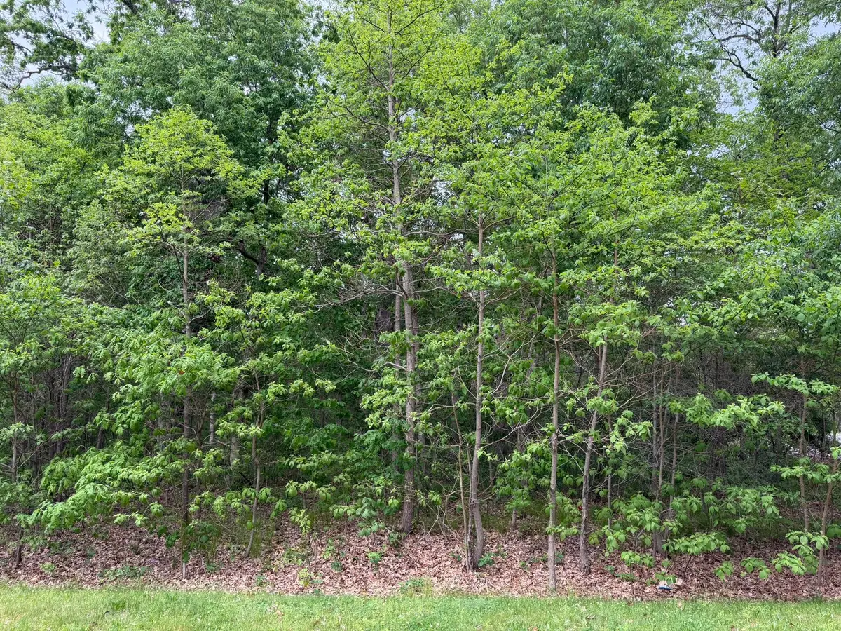 Vacant Lot 565 E, Demotte, IN 46310 - #1