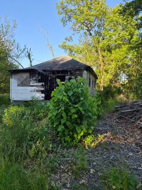 3912 Virginia Street, Gary, IN 46409 - #2