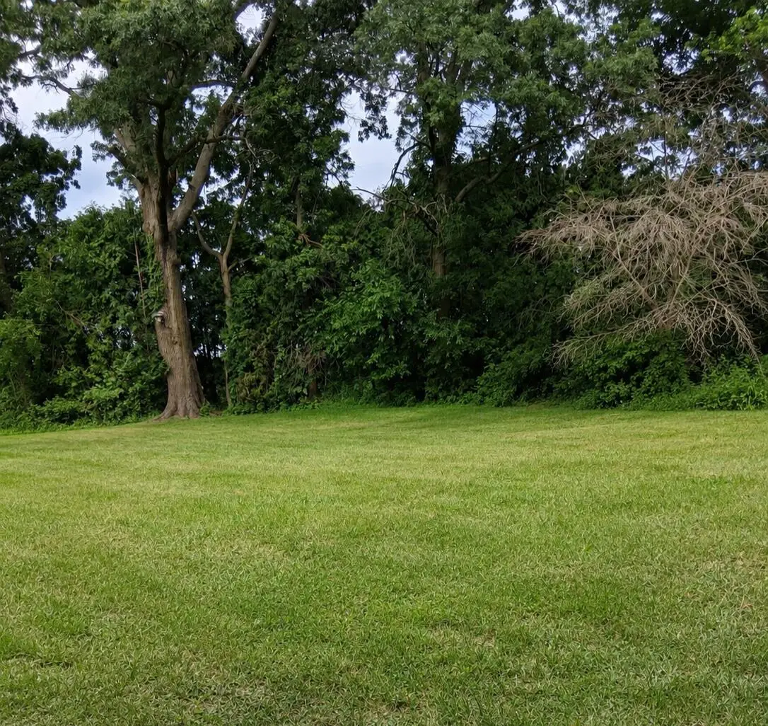 Lot 087 S Deer Path Drive, Bass Lake, IN 46534 - #1