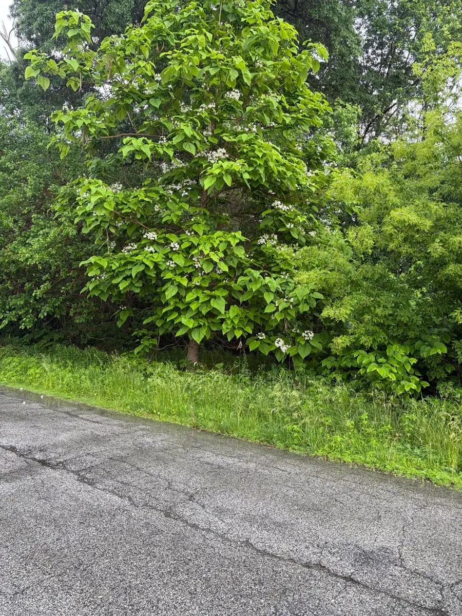 100 Garfield Avenue, Hobart, IN 46342 - #2