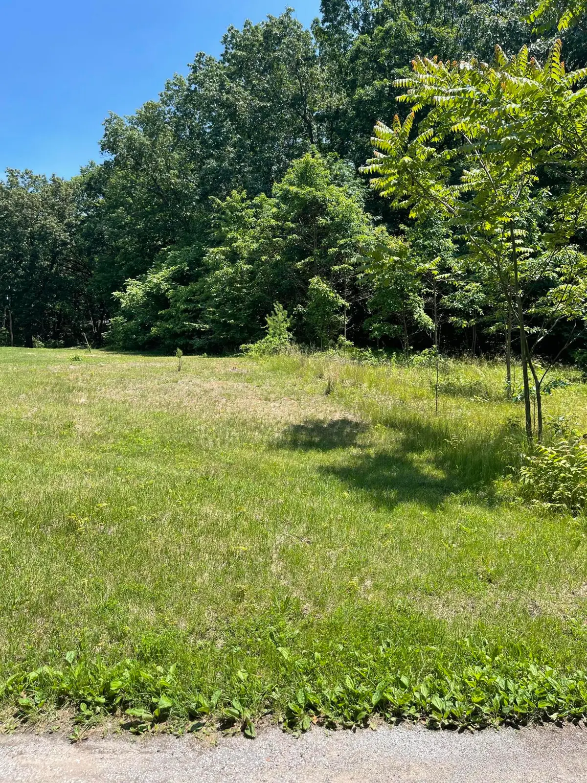0 Belle Road, Michigan City, IN 46360 - #1