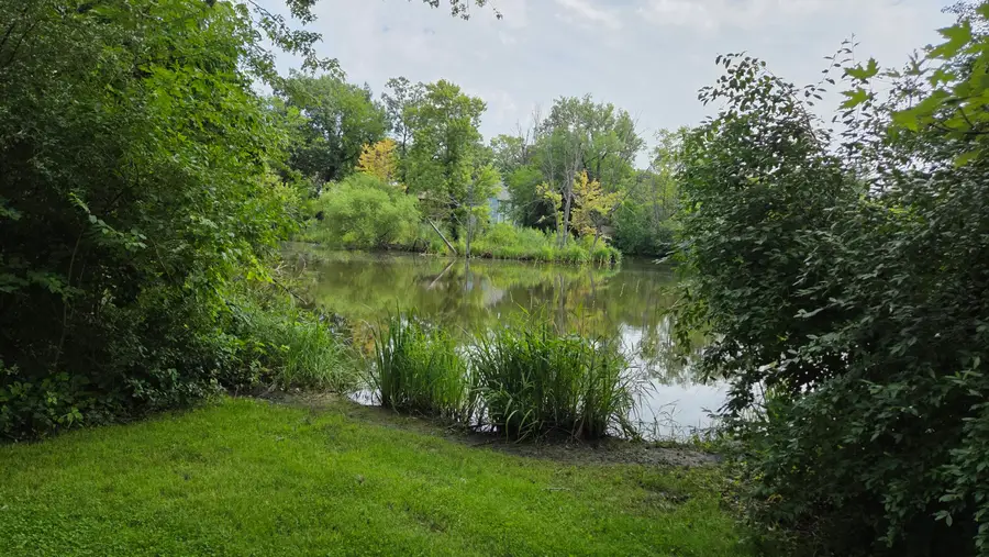 515 W 77th Avenue, Dyer, IN 46311 - #3