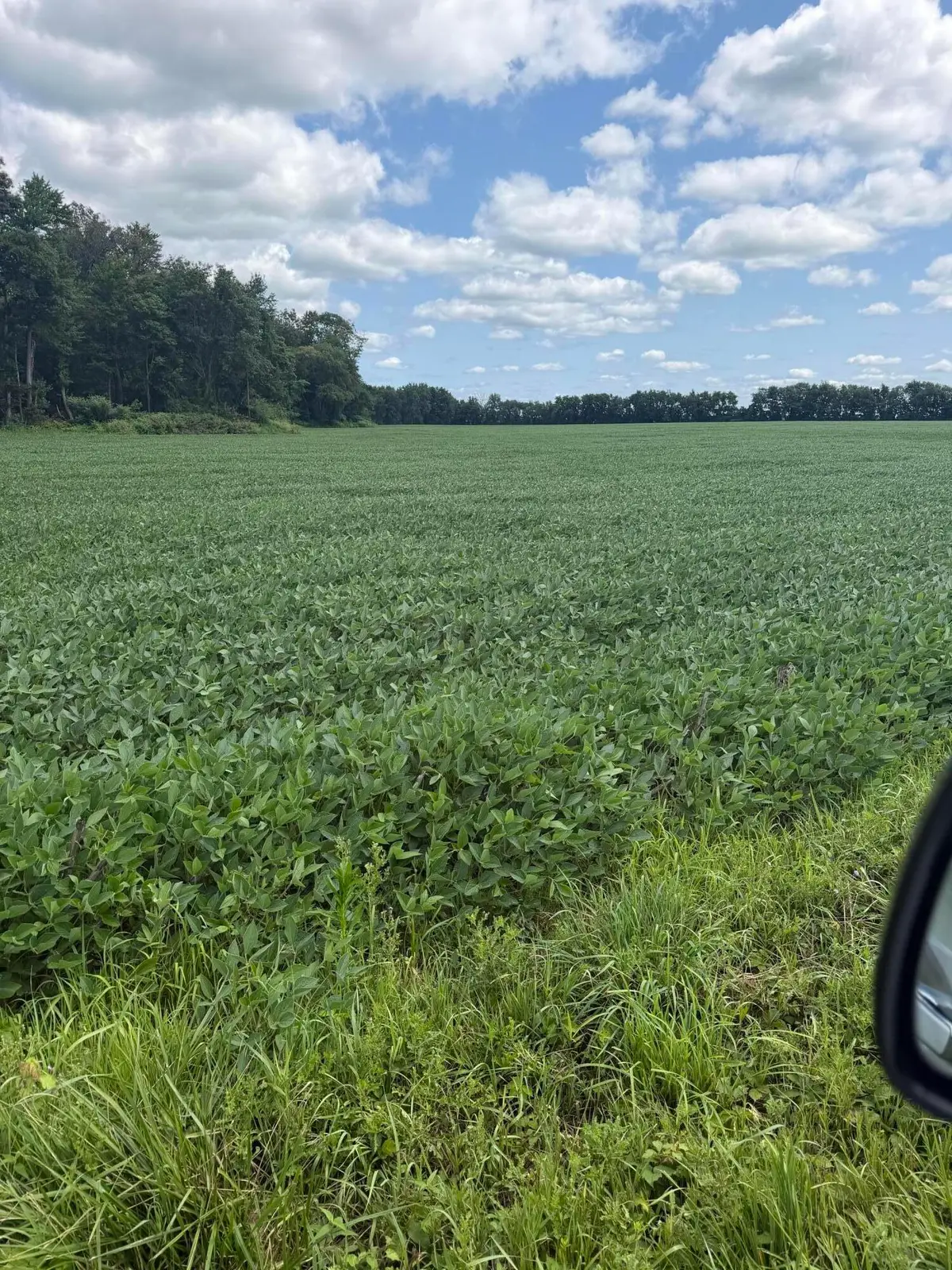 7606 S Young Road, La Porte, IN 46350 - #1