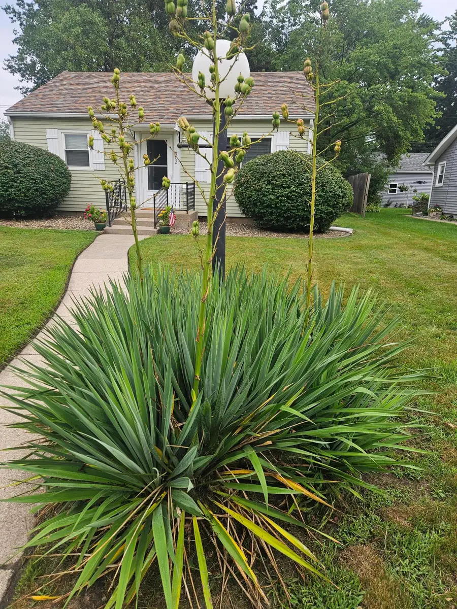 502 Wilshire Avenue, Michigan City, IN 46360 - #2