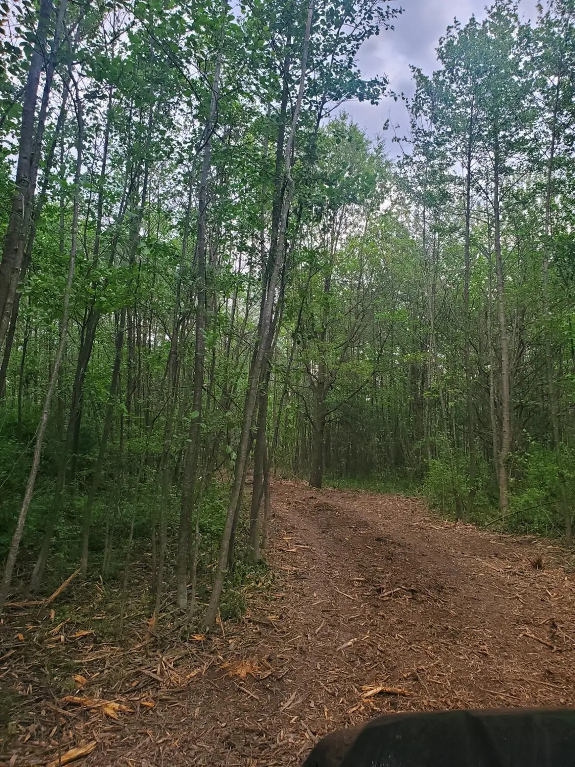 13196 County Line Road, Crown Point, IN 46307 - #1