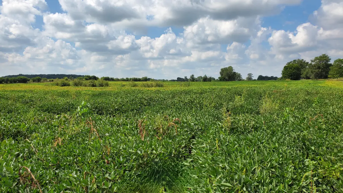 000 N County Road 200 W, Rensselaer, IN 47978 - #1