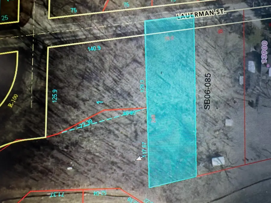 0 Lauerman Road, Cedar Lake, IN 46303 - #2