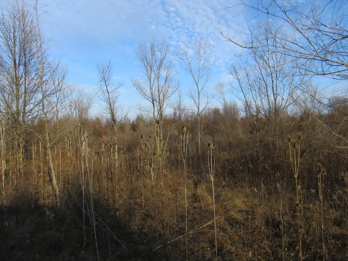 0-lot 8 Grant Street, Merrillville, IN 46410 - #1