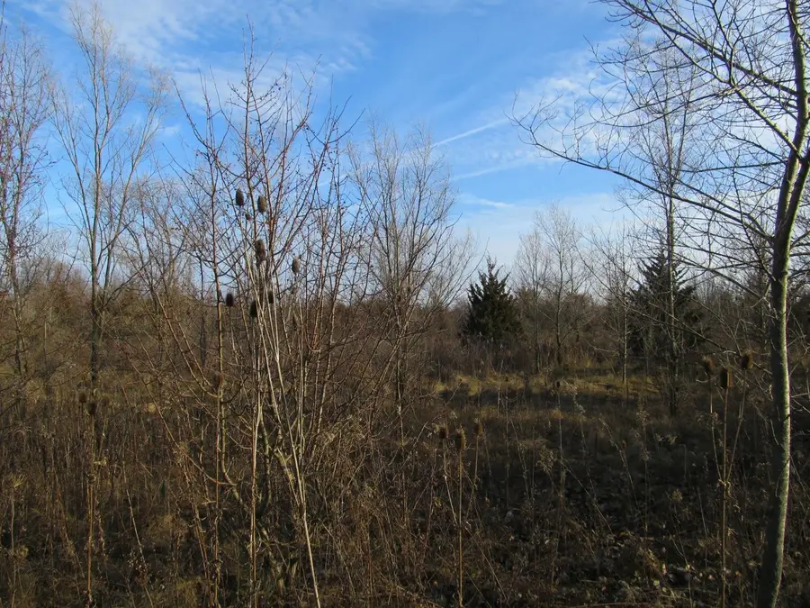 0-lot 9 Grant Street, Merrillville, IN 46410 - #2