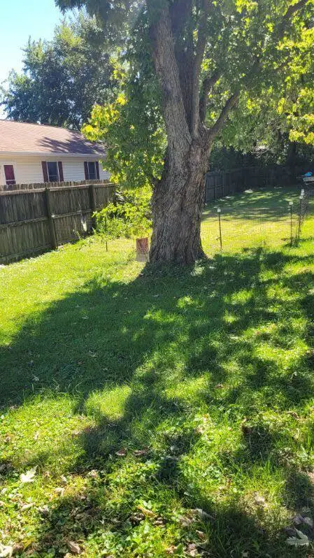 1042 Avenue D Street, Greencastle, IN 46135 - #3