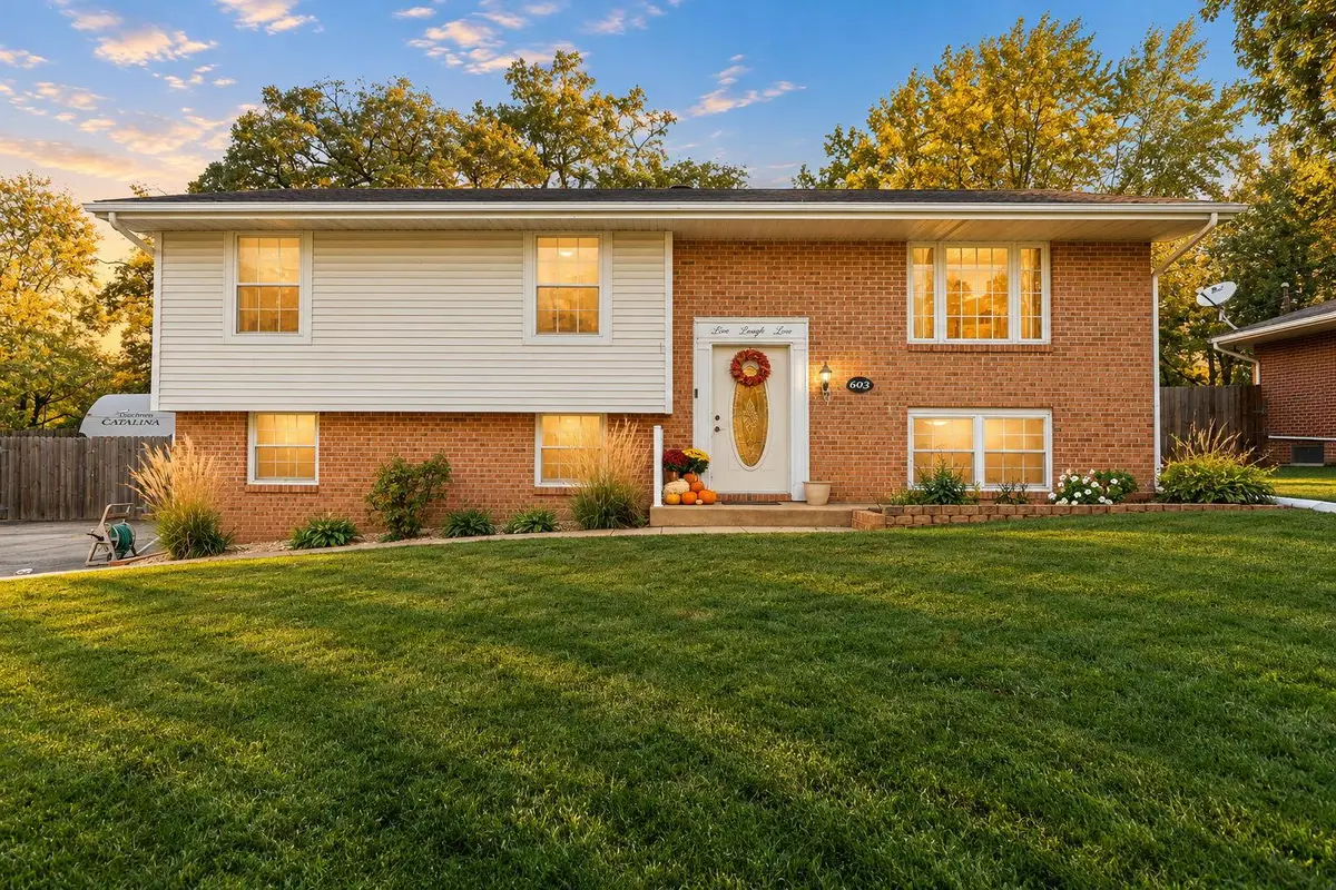 603 Driftwood Drive, Lowell, IN 46356 - #1