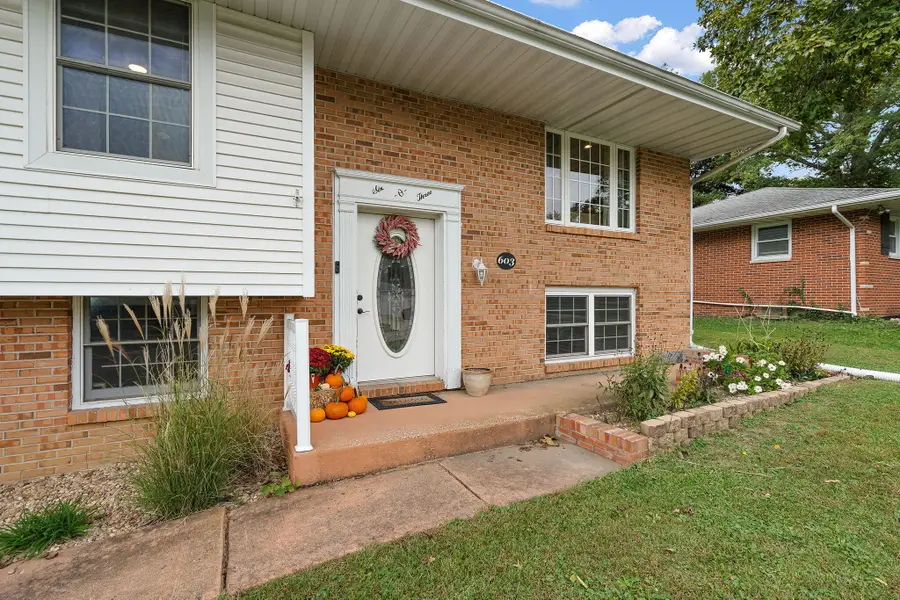 603 Driftwood Drive, Lowell, IN 46356 - #3