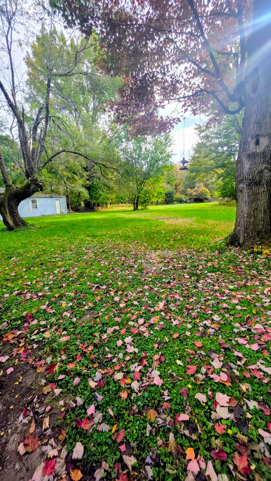 102 Bullseye Lake Road, Valparaiso, IN 46383 - #1