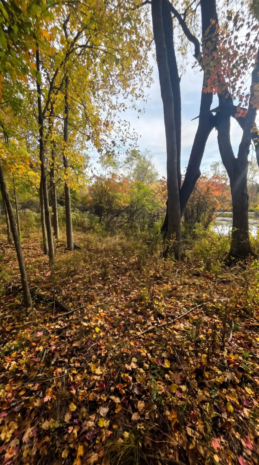 102 Bullseye Lake Road, Valparaiso, IN 46383 - #2