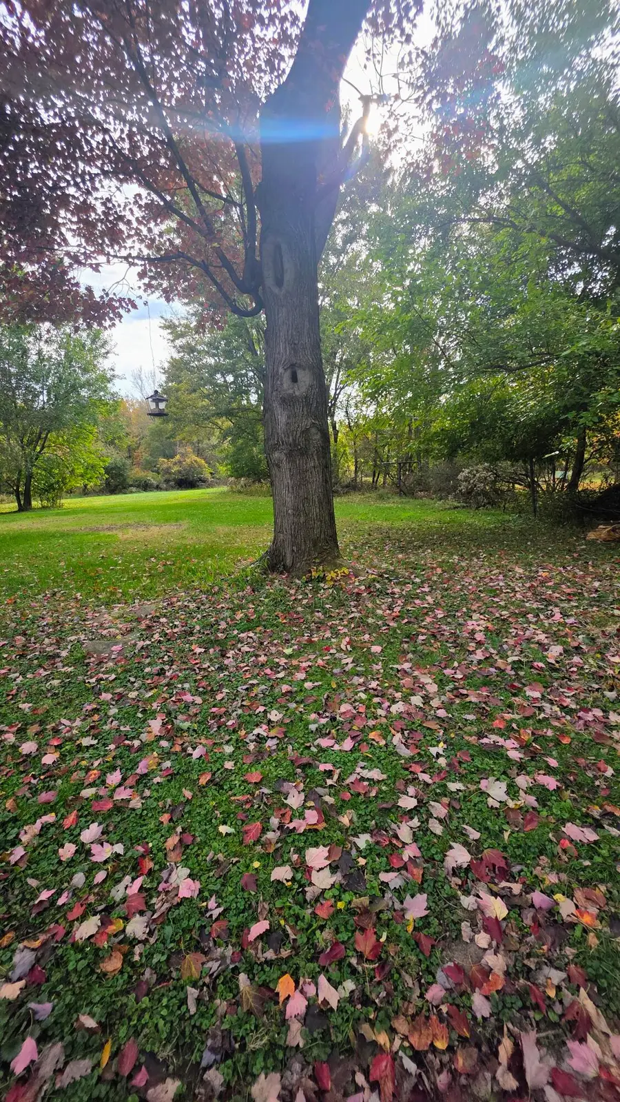 102 Bullseye Lake Road, Valparaiso, IN 46383 - #3