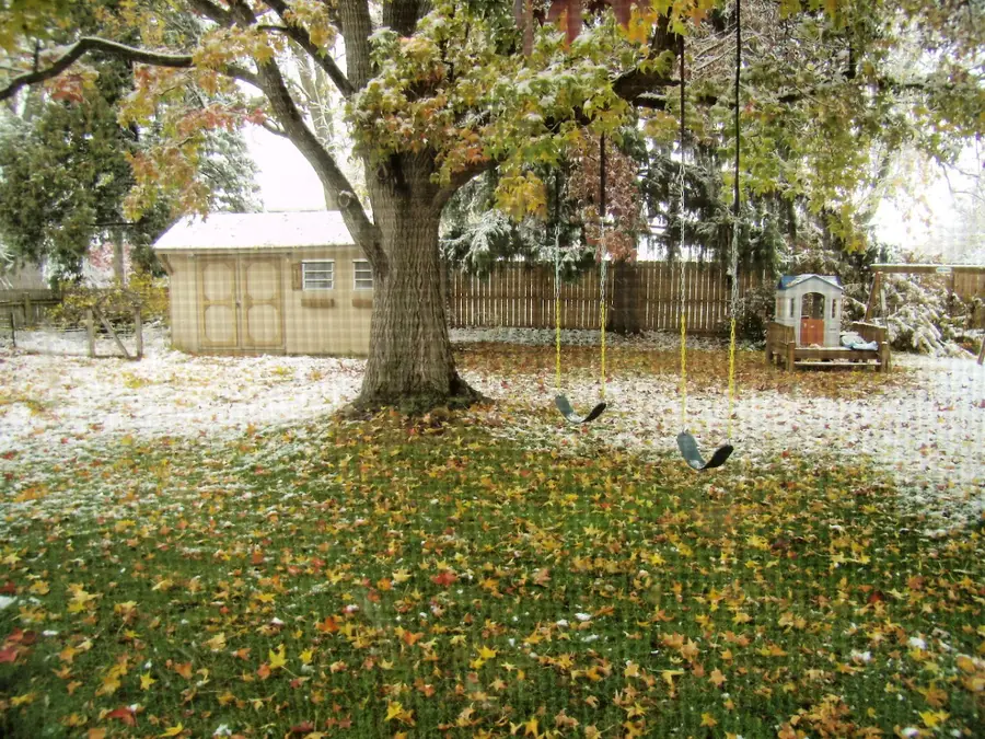 409 Inglenook Place, Angola, IN 46703 - Image #2