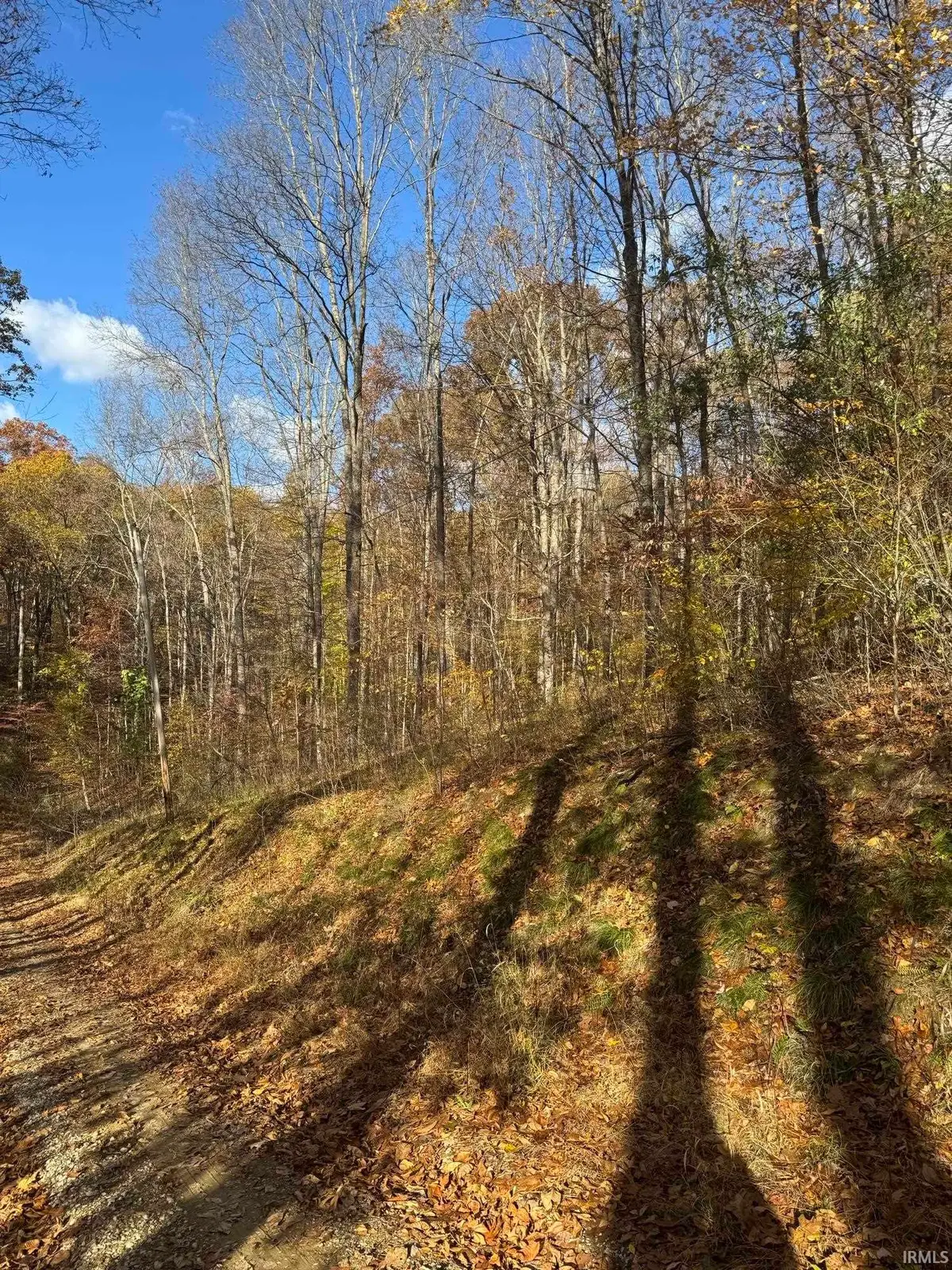 0 Maple Drive, Nashville, IN 47448 - Image #1