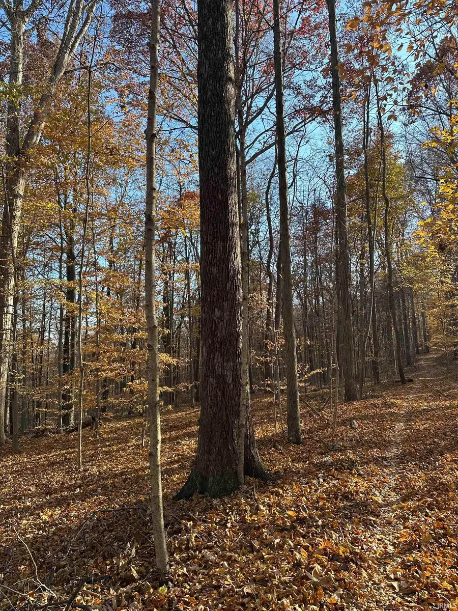 0000 S 1175 Road, Cloverdale, IN 46120 - Image #2