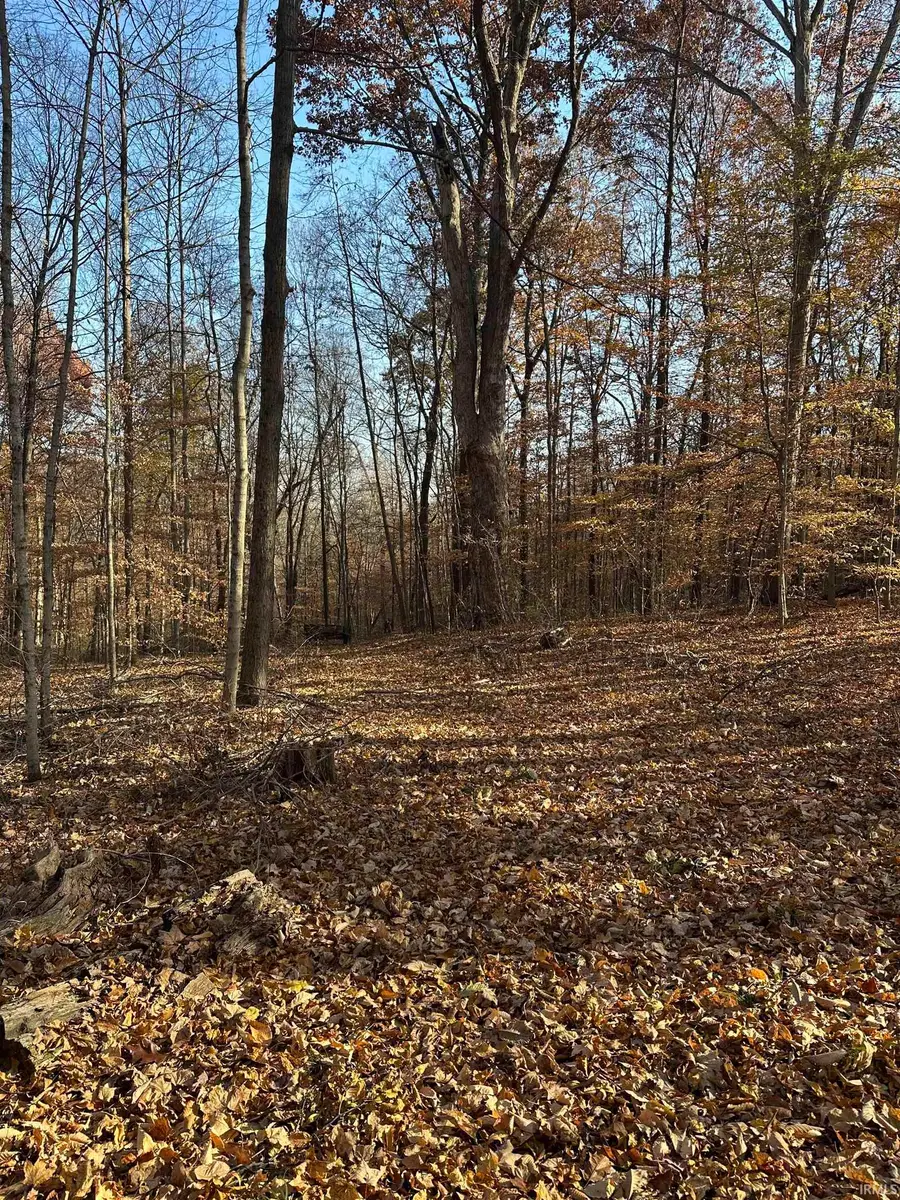 0000 S 1175 Road, Cloverdale, IN 46120 - Image #3