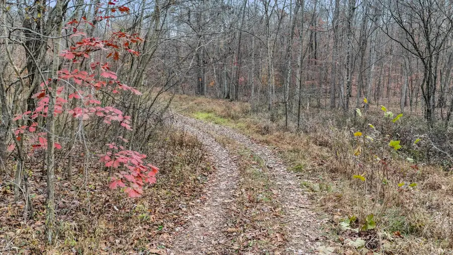 31 Poplar Ridge, Springville, IN 47462 - Image #2