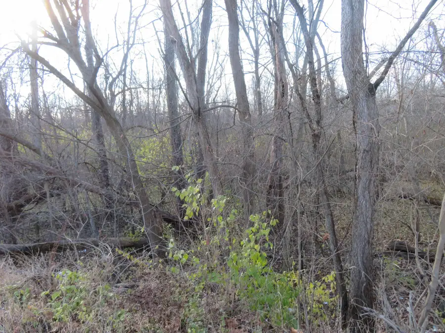 1325 S 1100 East Road, Galveston, IN 46932 - Image #2