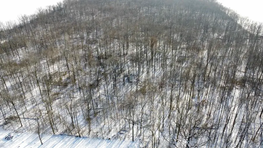 0 N Little John Lane, Muncie, IN 47303 - Image #2