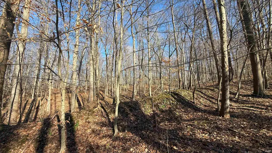 0 W Us Hwy 36 Highway, Rockville, IN 47872 - Image #3