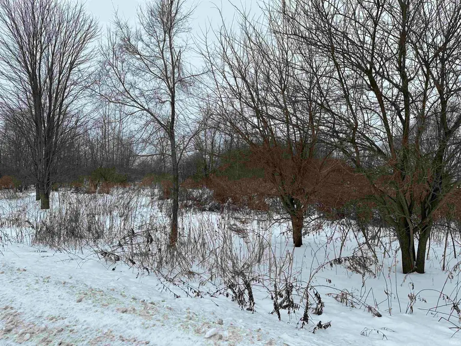 0 Us 20 Highway, New Carlisle, IN 46552 - #3