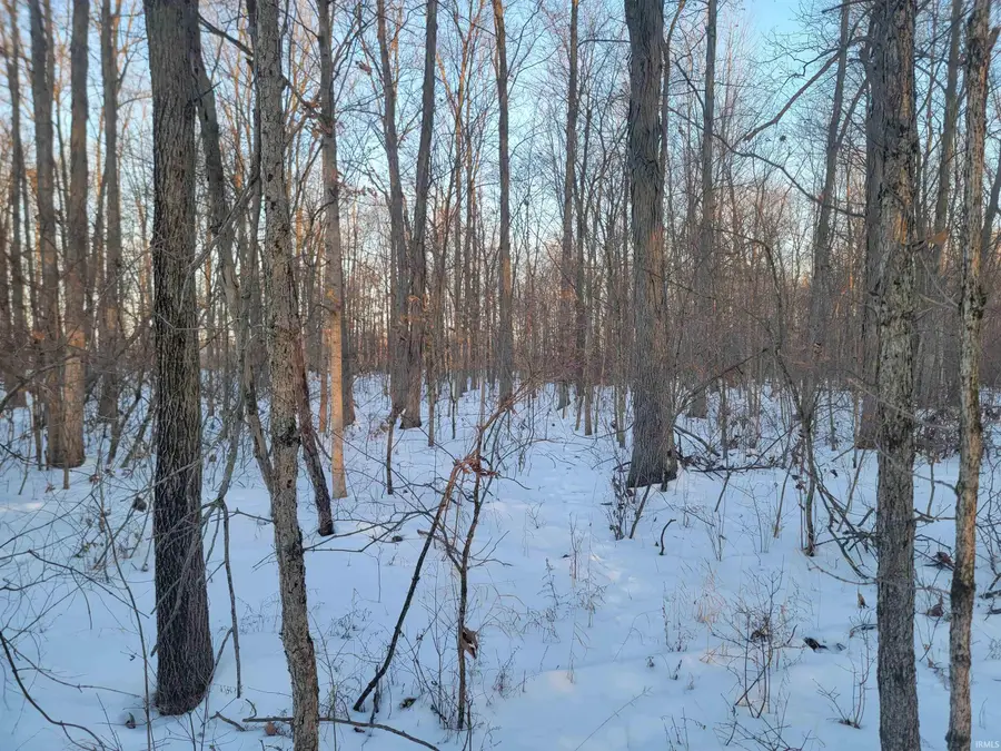 TBD E 450 S, Portland, IN 47371 - #3