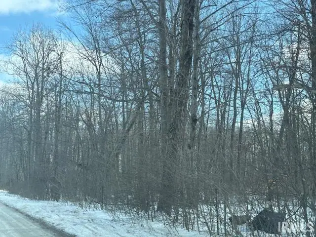 TBD S 800 E-92, Fort Wayne, IN 46814 - #2