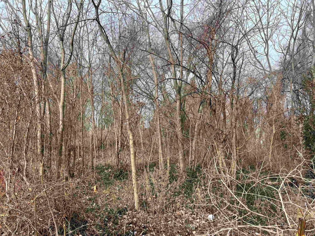 1197 Roush Avenue, Vincennes, IN 47591 - #1