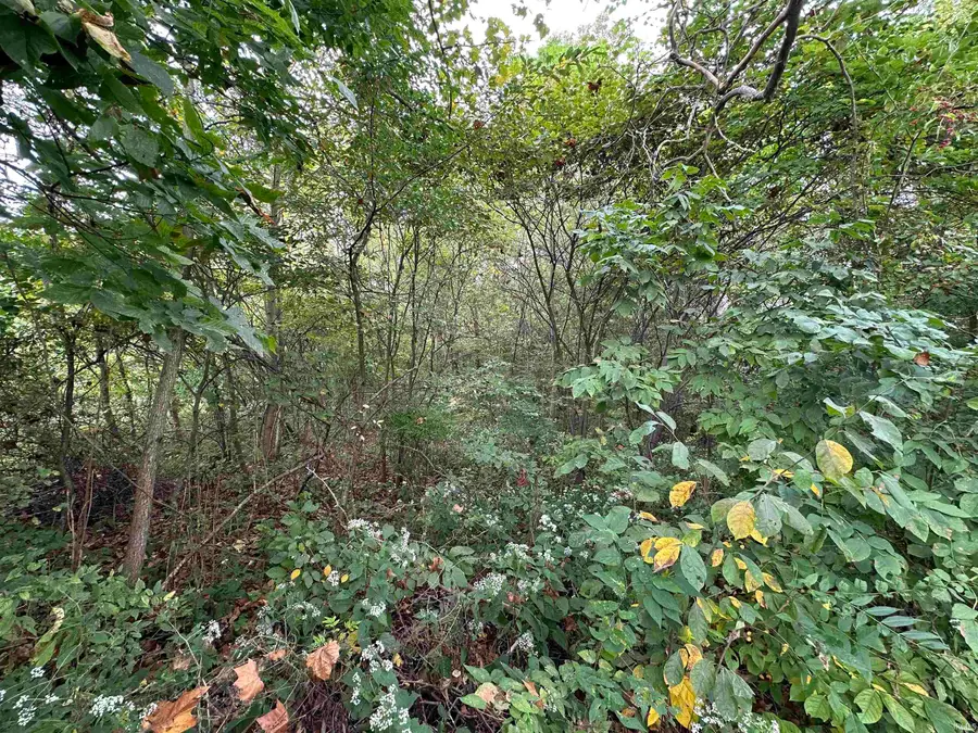 TBD Spring Drive, Bedford, IN 47421 - #3