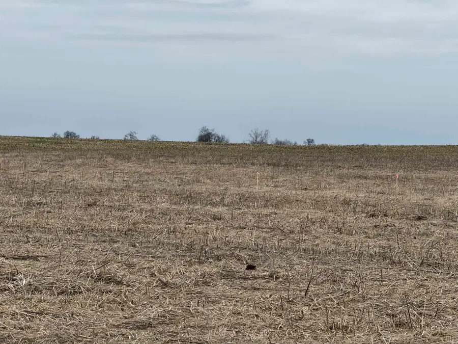 Lot 2 Cr 925, Haubstadt, IN 47639 - #2