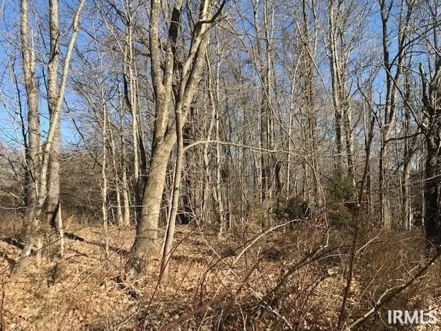 2771 E Point Cove Road, Clear Creek, IN 47401 - #1