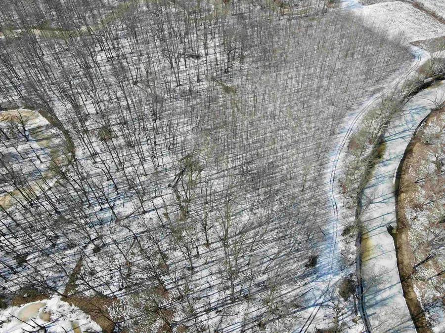 West Side N Franklin Bottoms Road, Scottsburg, IN 47170 - #3